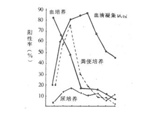 傷寒感菌