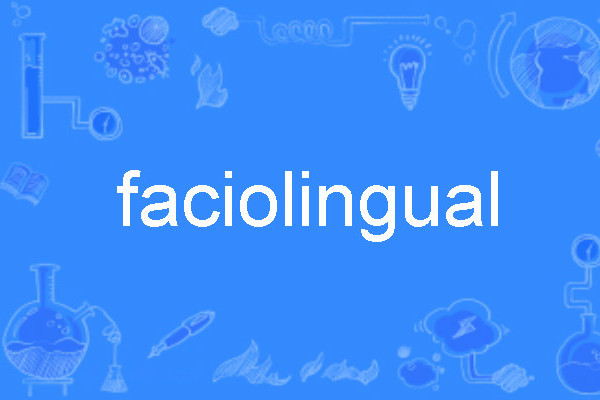 faciolingual