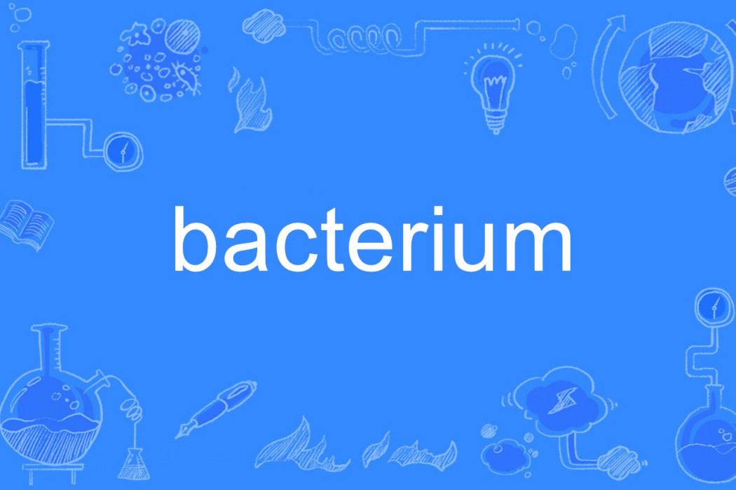 bacterium