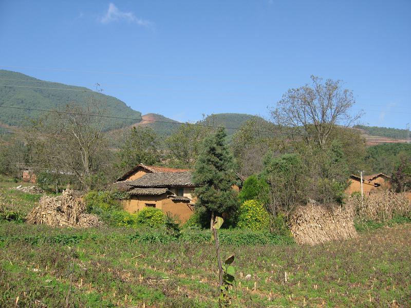 營門口村(雲南省祿勸縣撒營盤鎮下轄村)