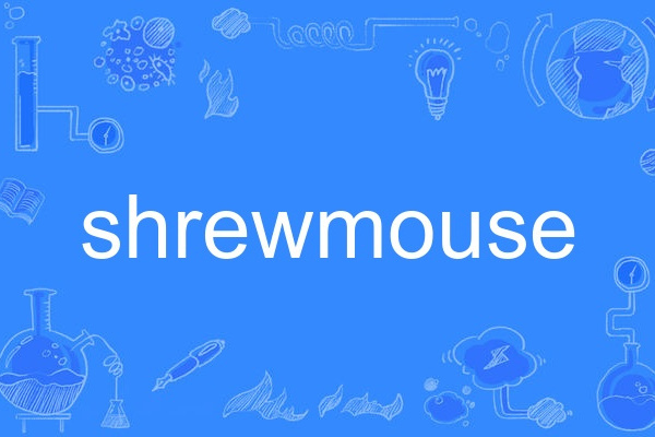 shrewmouse