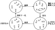 非線性附加控制