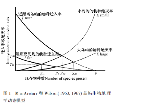 島嶼生物地理學