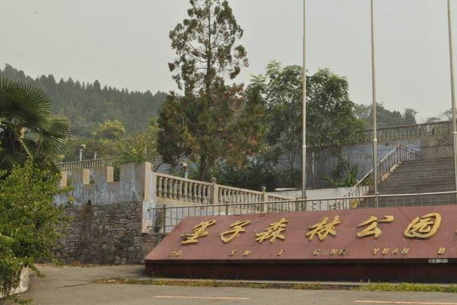 山東滕州墨子國家森林公園