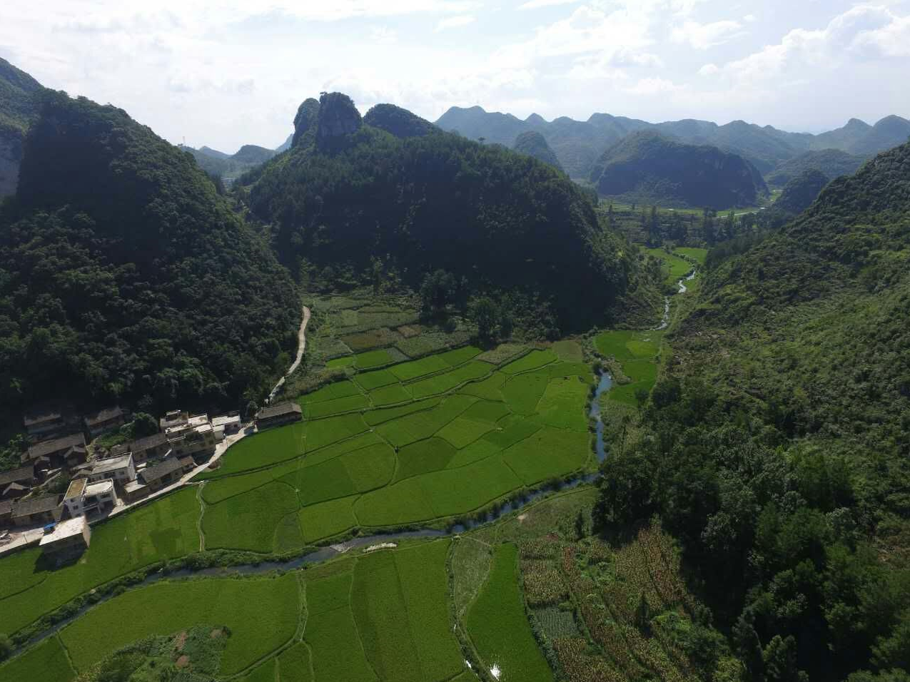 水頭布依山寨