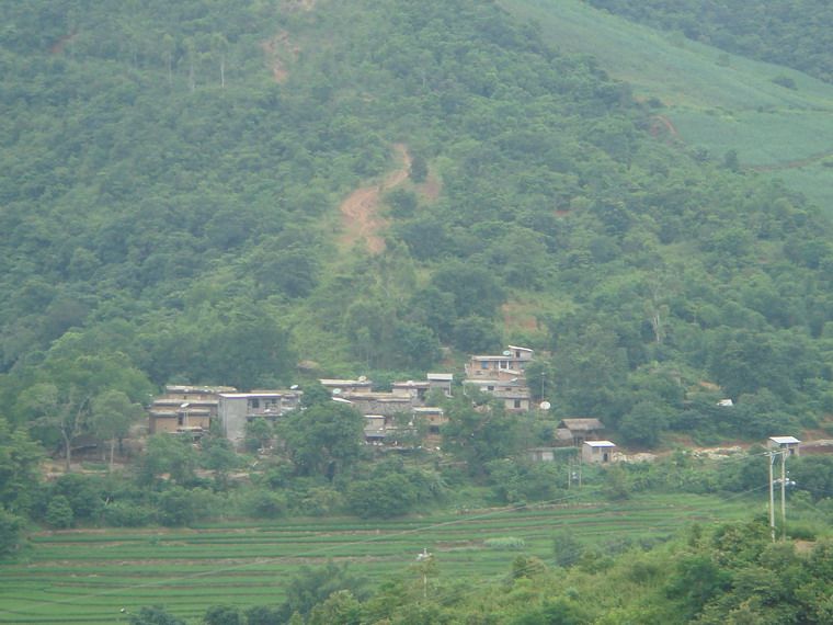 小河口村(新平縣水塘鎮新寨村民委員會下轄村)