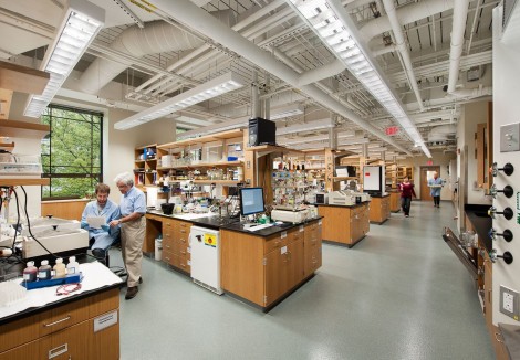 BC實驗室MERKERT CHEMISTRY CENTER