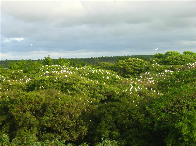 邁哉村