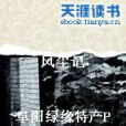 風塵記(天涯文學小說)