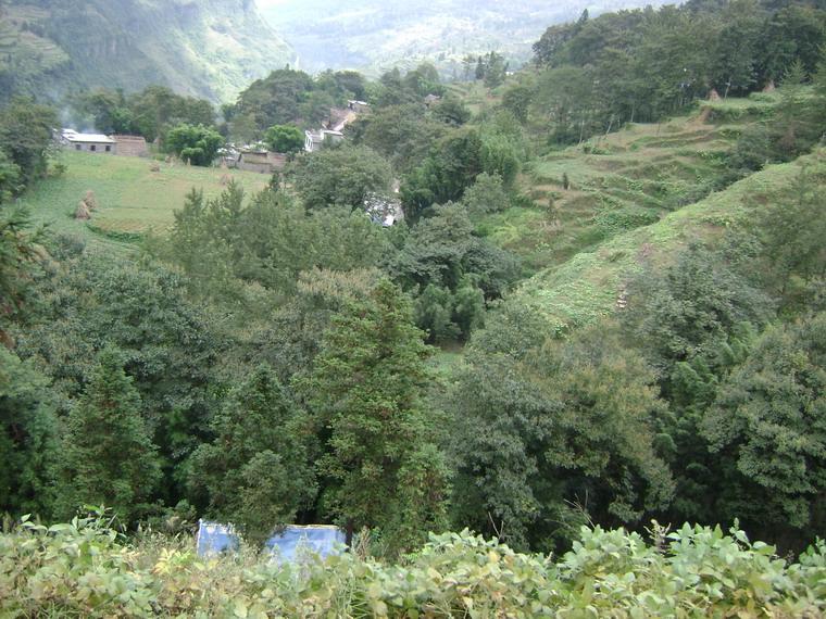 後大山自然村