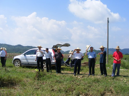 嵐田村