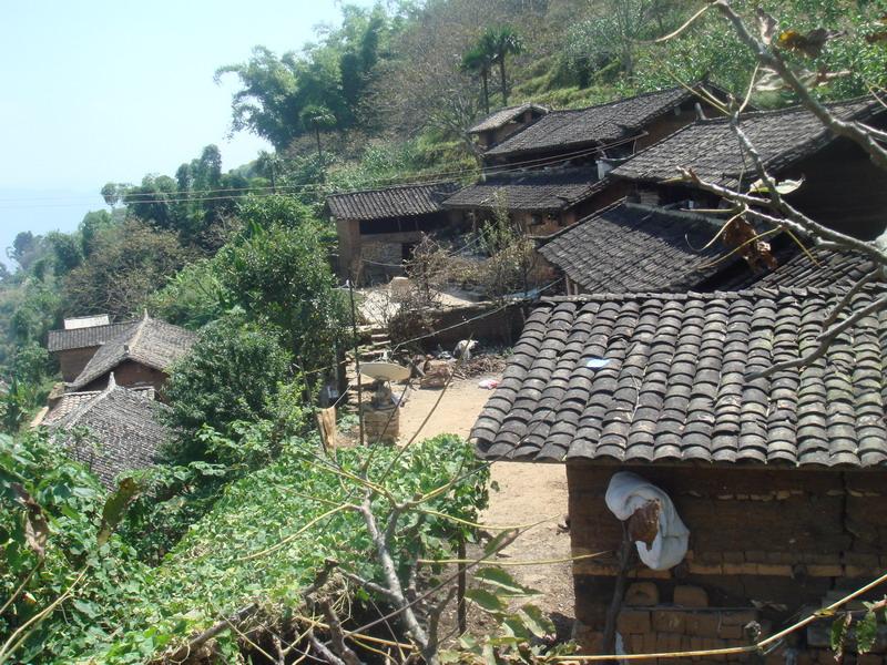 嶺崗村(雲南省雙柏縣鄂嘉鎮下轄村)