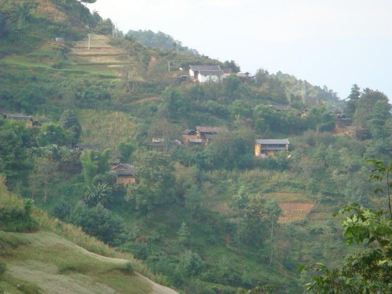 尖山村(楚雄市蒼嶺鎮黃草村委會下轄村)