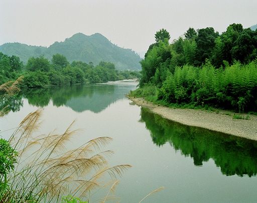 保護區風景