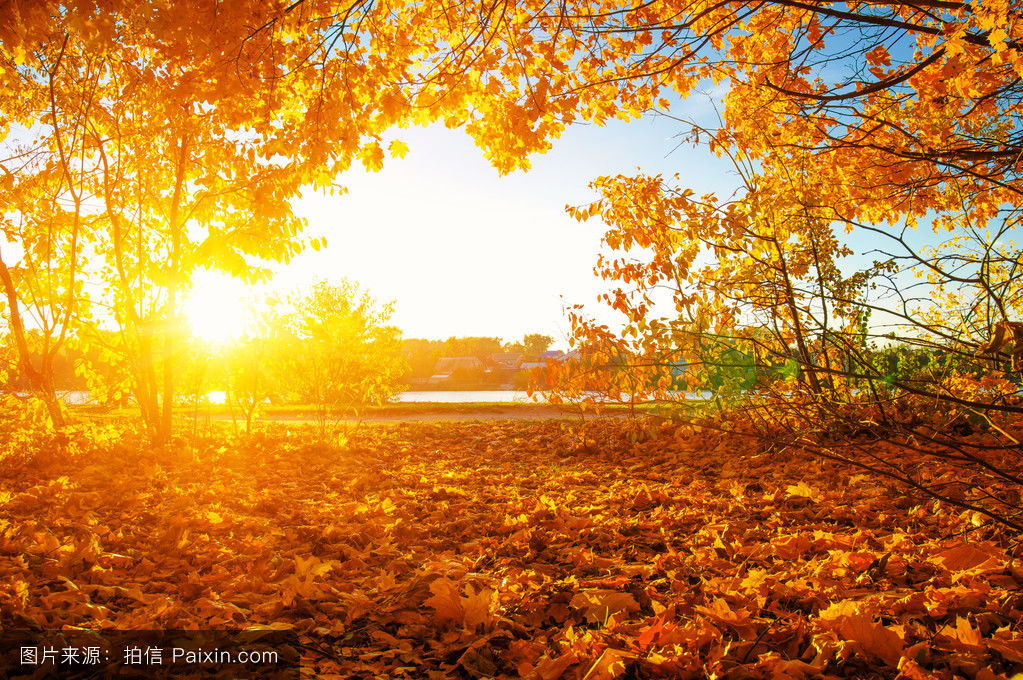 Autumn(英語單詞)