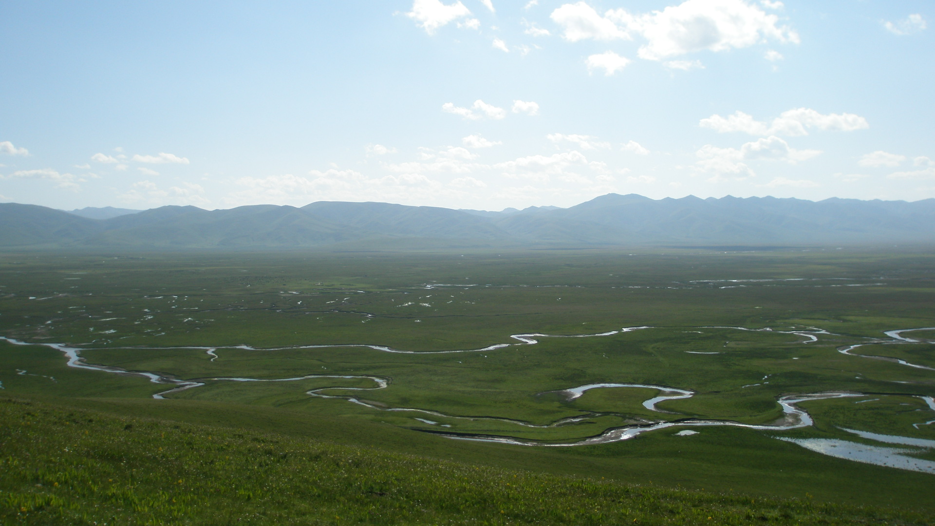 甘肅黃河首曲國家級自然保護區