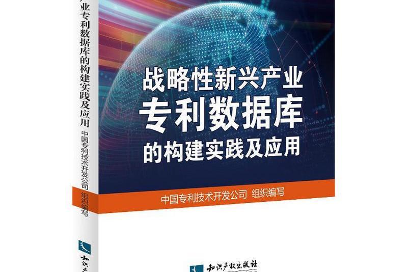 戰略性新興產業專利資料庫的構建實踐及套用