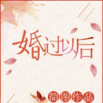 婚過以後(簡圖創作的網路小說)