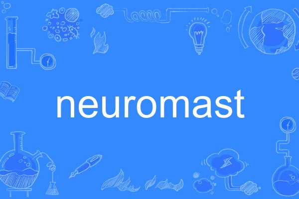 neuromast