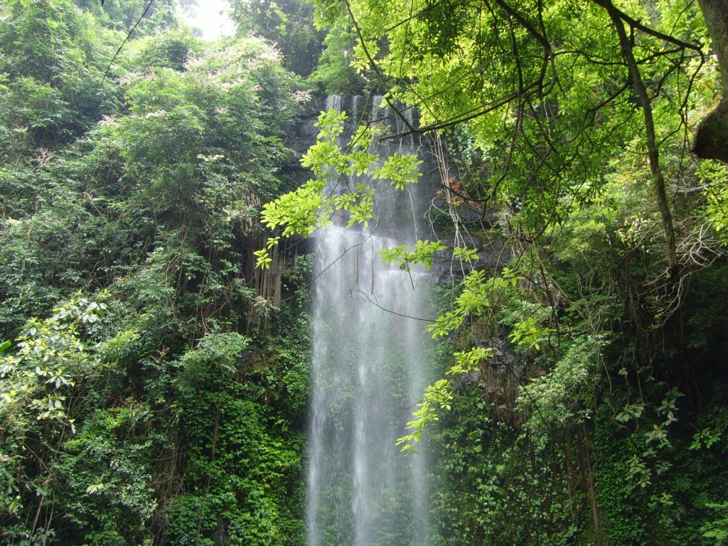 山水資源