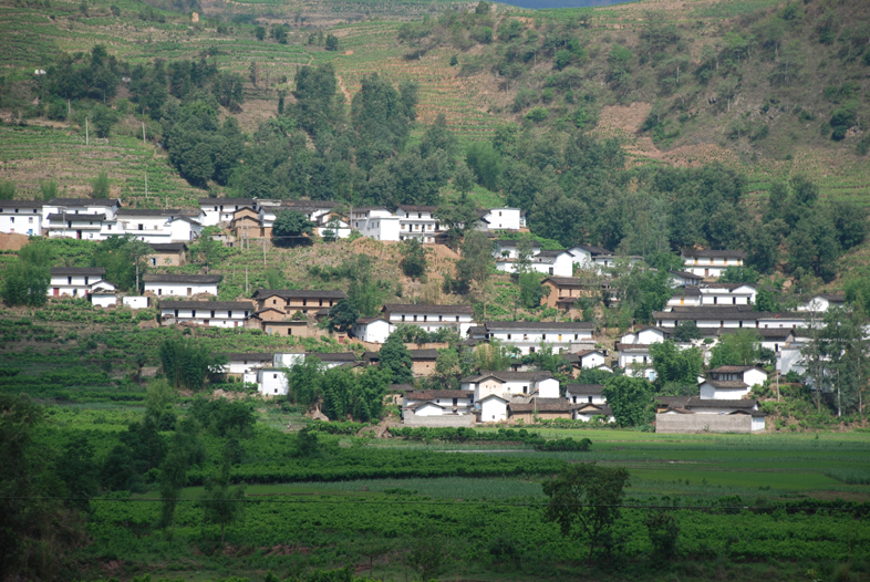 禾石坑村