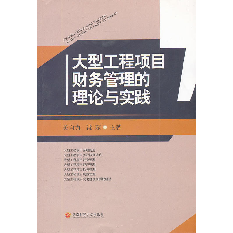 大型工程項目財務管理的理論與實踐