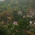 大港頭鎮楊山村