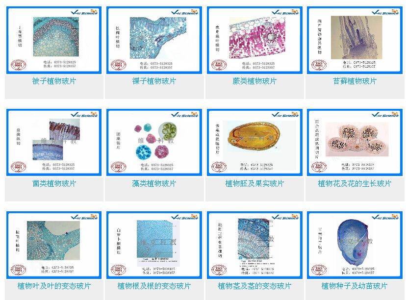 新鄉市維克科教儀器有限公司