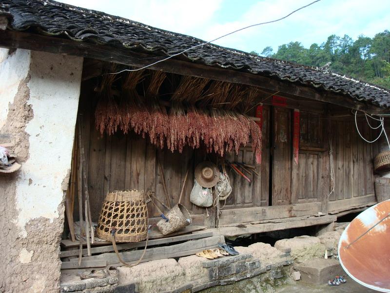 上背陰村