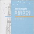 鄂爾多斯盆地緻密油氣開發工程工藝技術