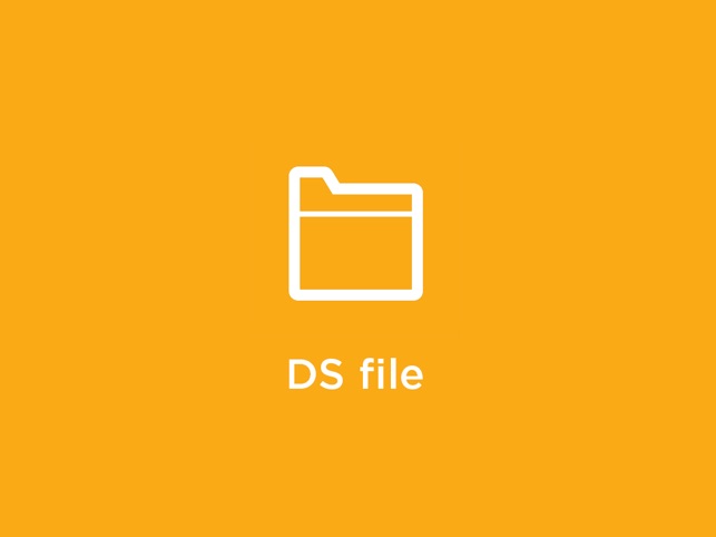 Ds file