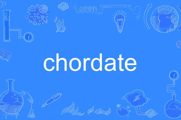 chordate