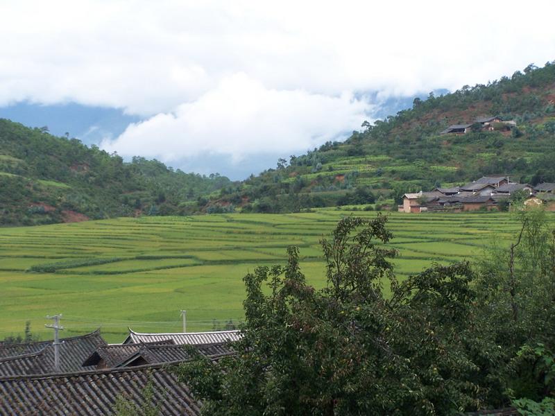 下海甲村山地