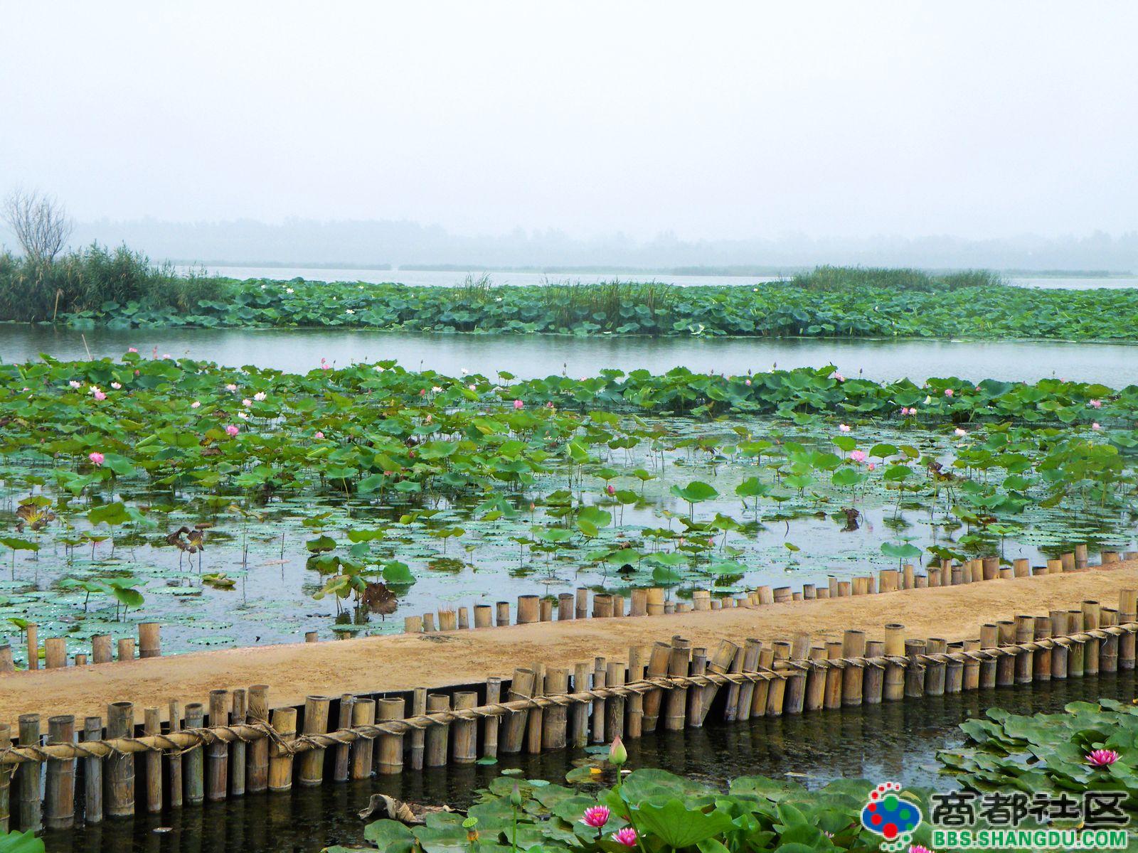 大連龍湖濕地公園