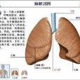 異物性肺炎