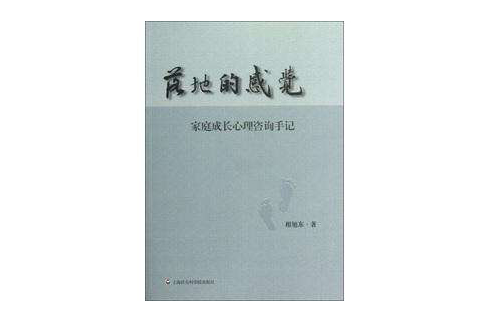 落地的感覺：家庭成長心理諮詢手記