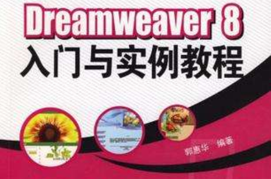 Dreamweaver 8入門與實例教程