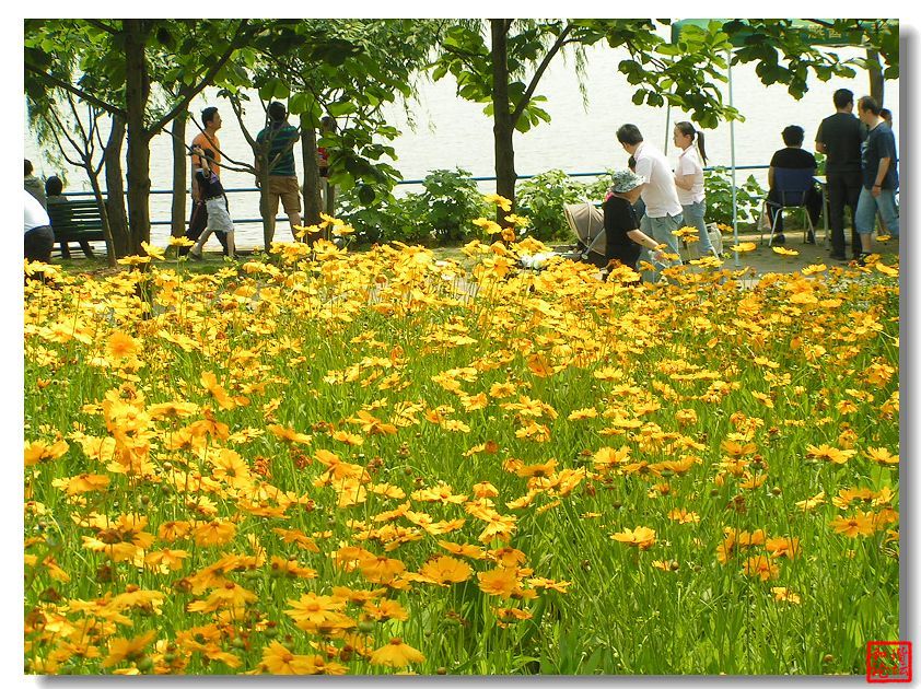 大寧靈石公園(廣中公園)