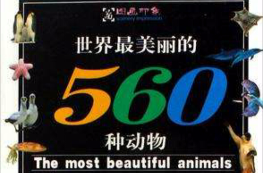 最可愛的動物-360動物排行榜