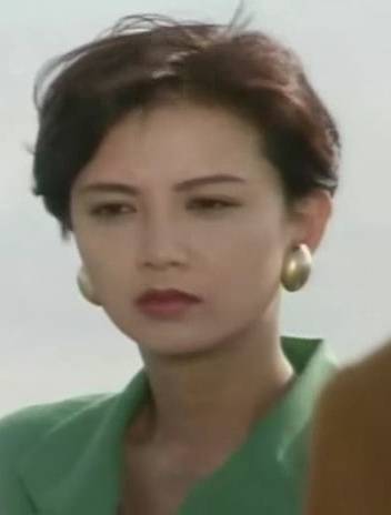 勝者為王(1991-1993年播出的ATV系列劇集)