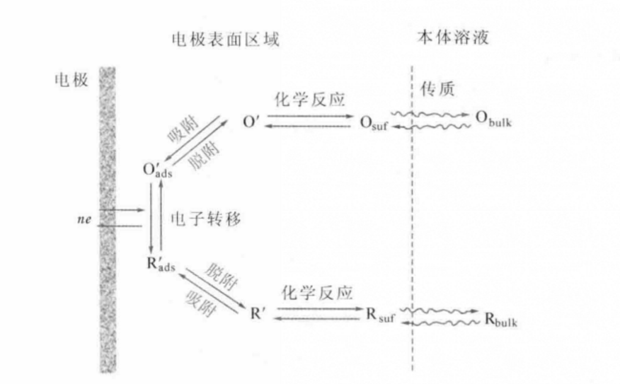 一般電極反應途徑