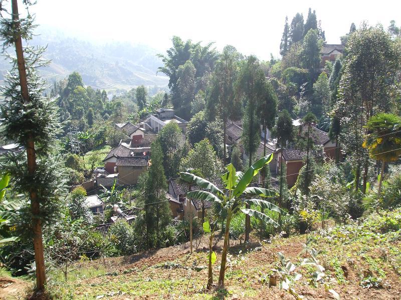 李家山自然村(雲南省鳳慶縣鳳山鎮下轄村)