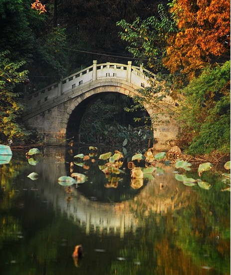 澹津公園