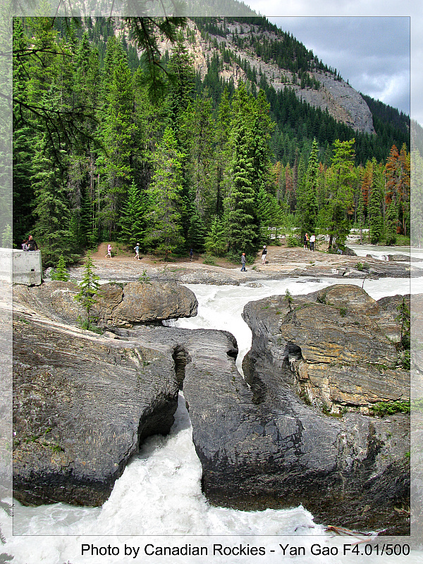 nature bridge