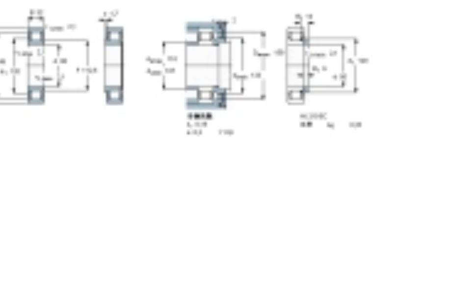 SKF NJ219ECML軸承