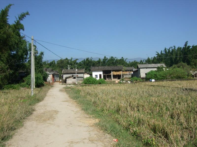 入村道路與民居