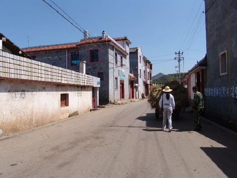 阿路法村