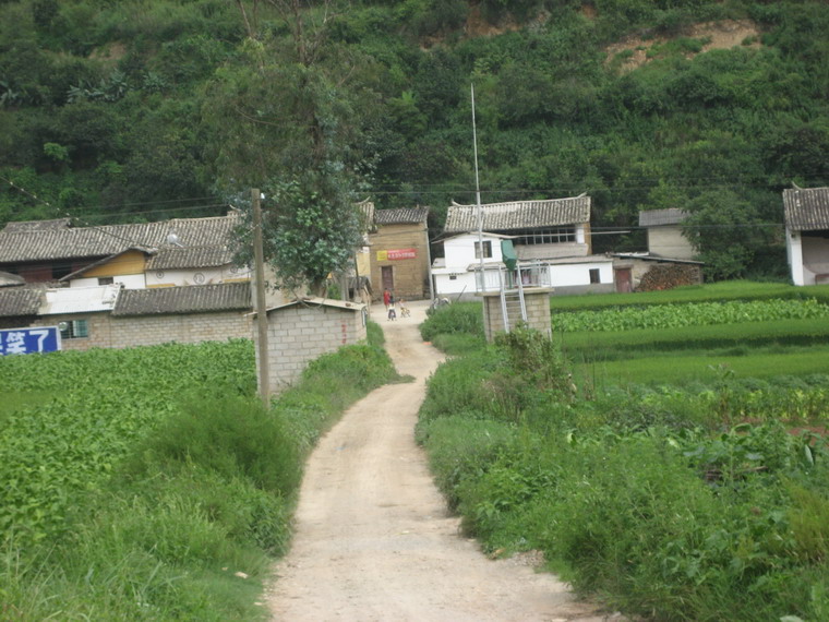 進村道路