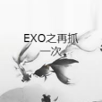 EXO之再抓一次