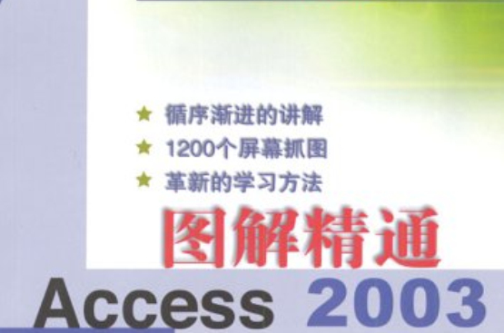 圖解精通Access2003